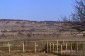 The property